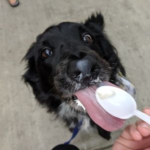 Meet your Posher, Anne